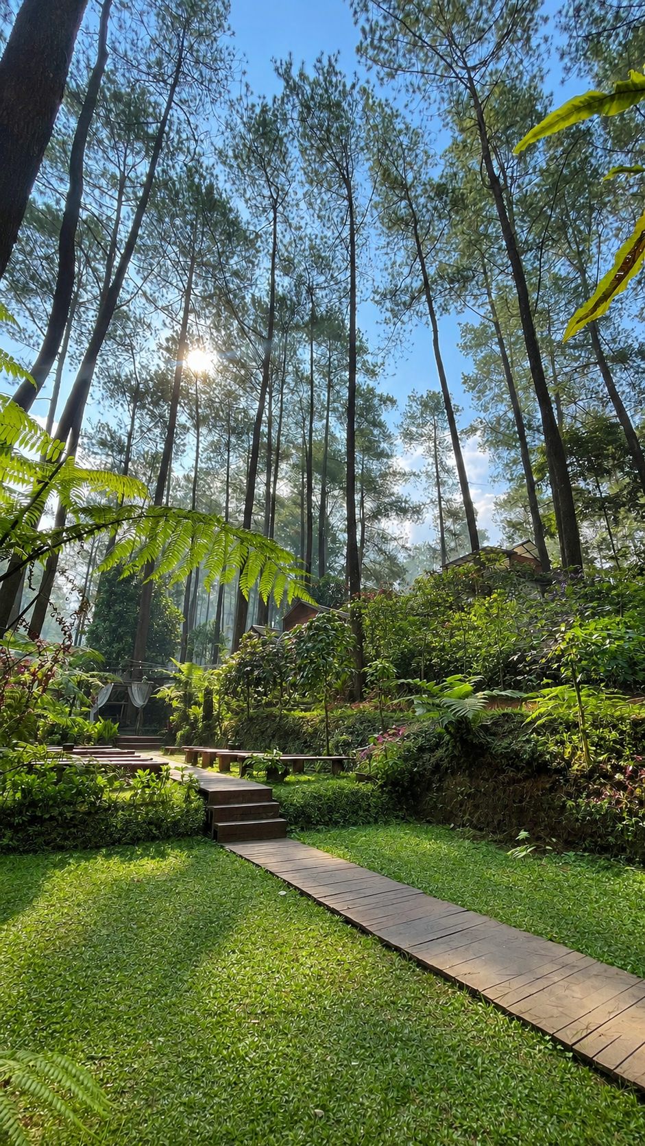 Hamparan Rumput Asri & Jalan Kayu